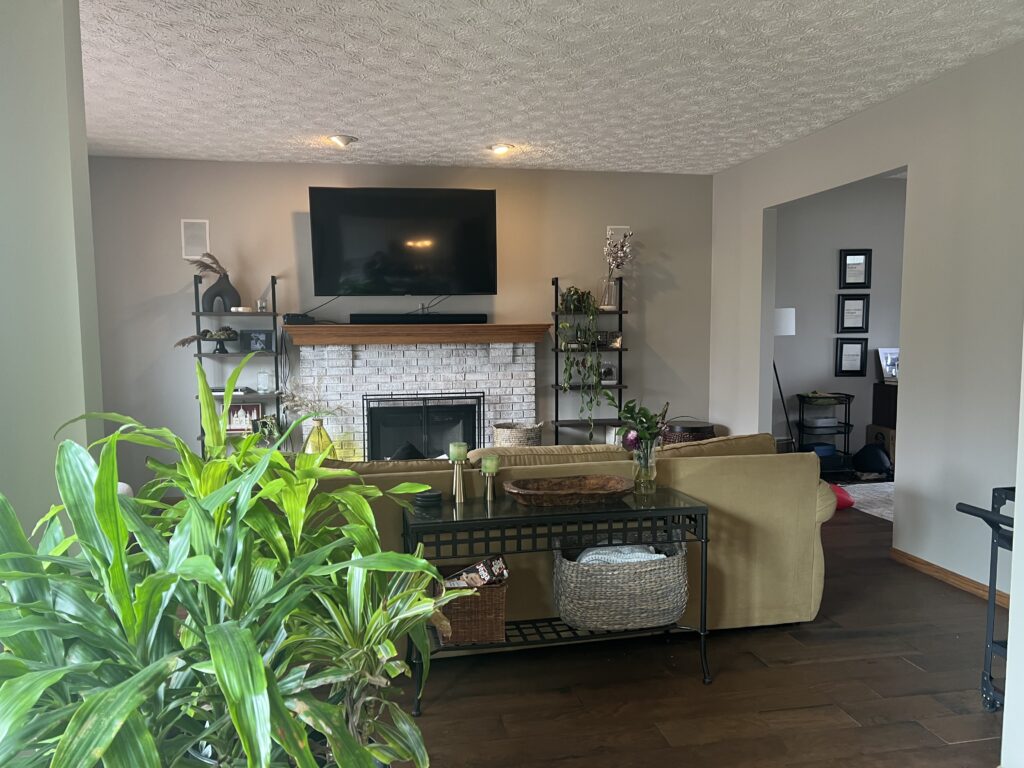 Before of the living room with dated beige walls, stone fireplace, and lots of plants. Copley Ohio Lindsey Putzier interior design 