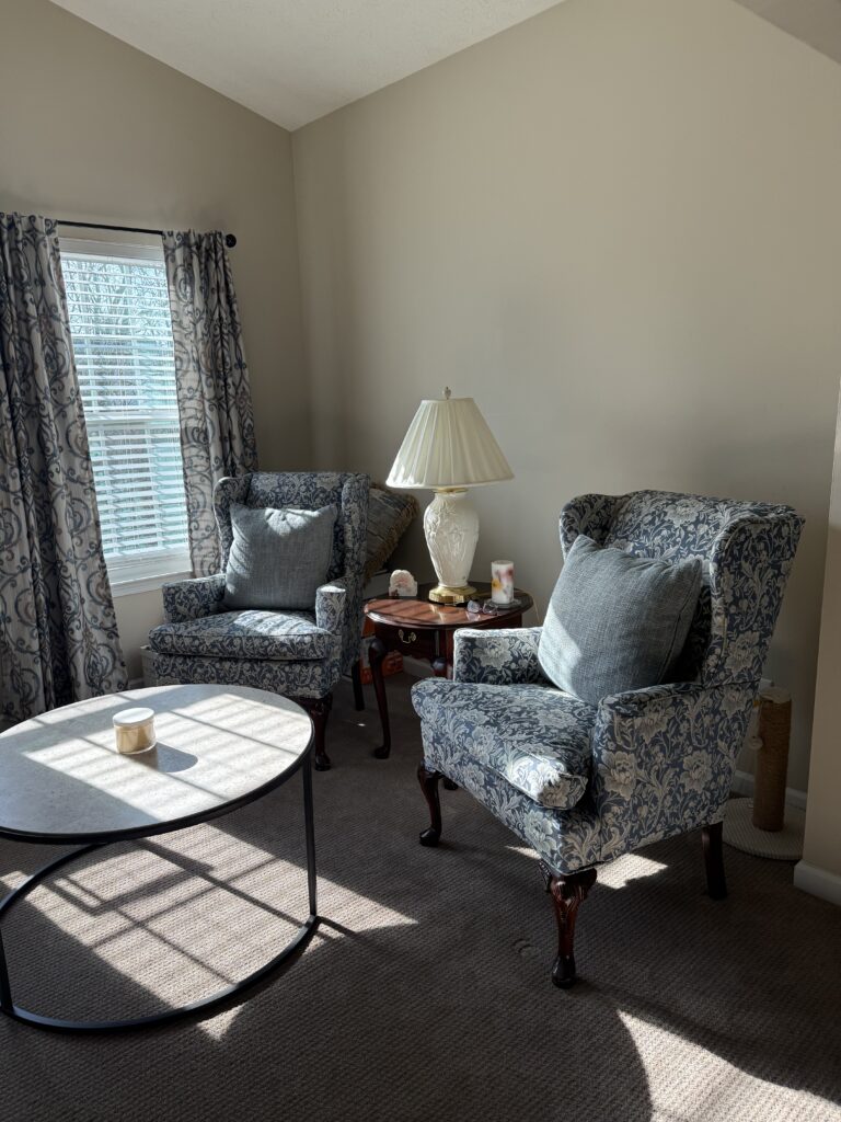 Before of the master bedroom with indigo patterned chairs and beige walls, Lindsey Putzier interior design Peninsula Ohio 
