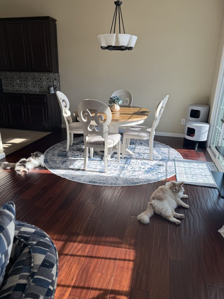 before of the dining room with dates lighting fixture and blank wall. Lindsey Putzier interior design Peninsula Ohio 