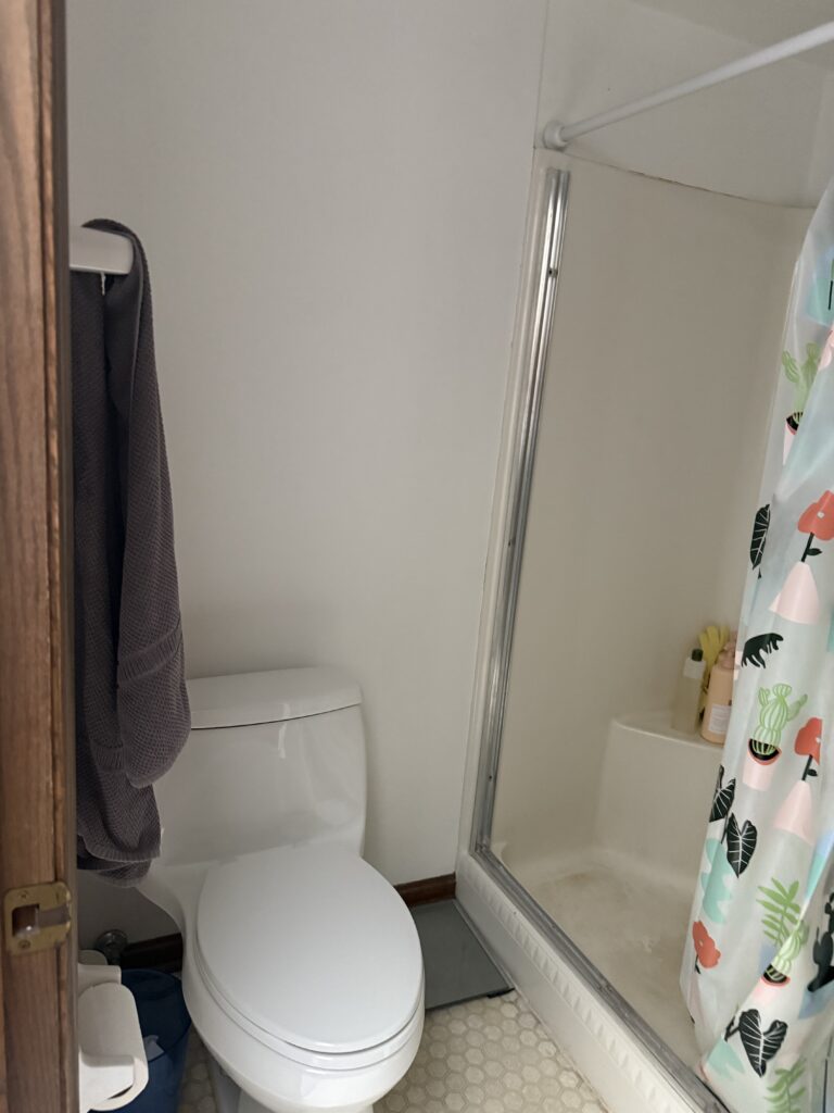 Before of the Master bathroom with no ventilation and a wall that closed the shower from the rest of the space. Lindsey Putzier interior design Akron Ohio 