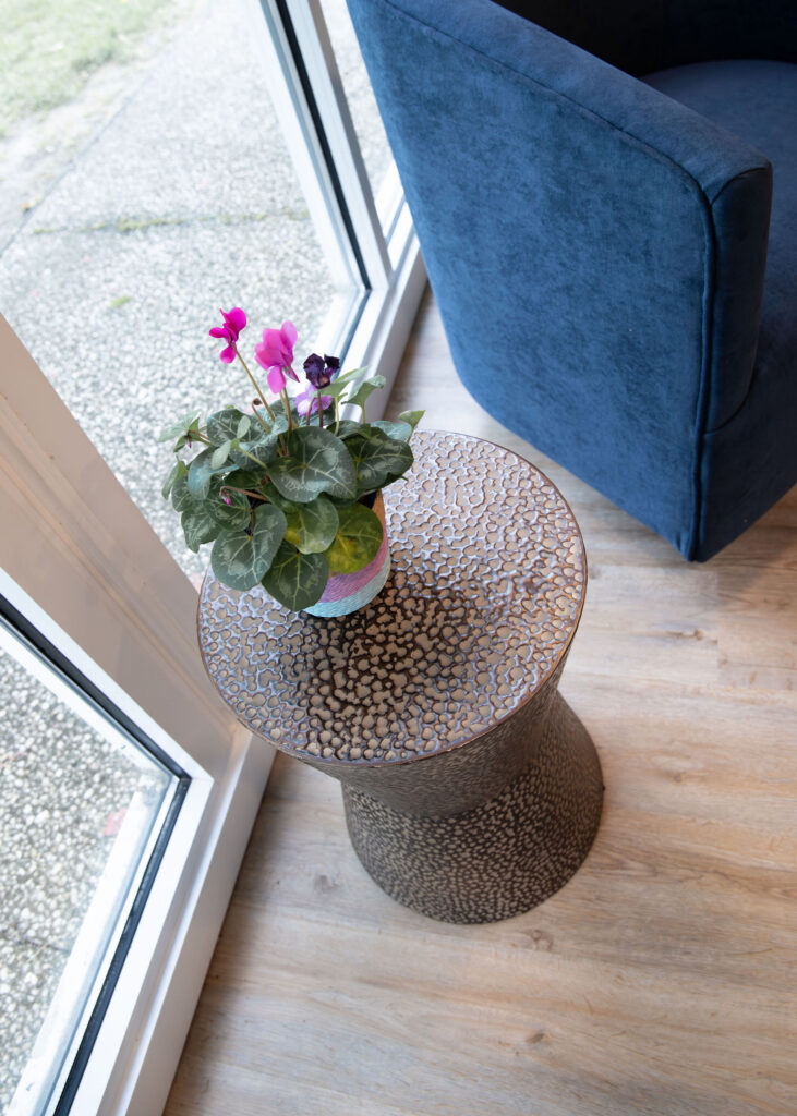 Brass side table with plant. Cuyahoga Falls Ohio. Lindsey Putzier interior design