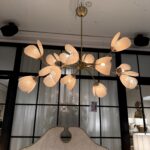Img 8886